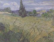 Vincent Van Gogh Green Wheat Field with Cypress (nn04) oil